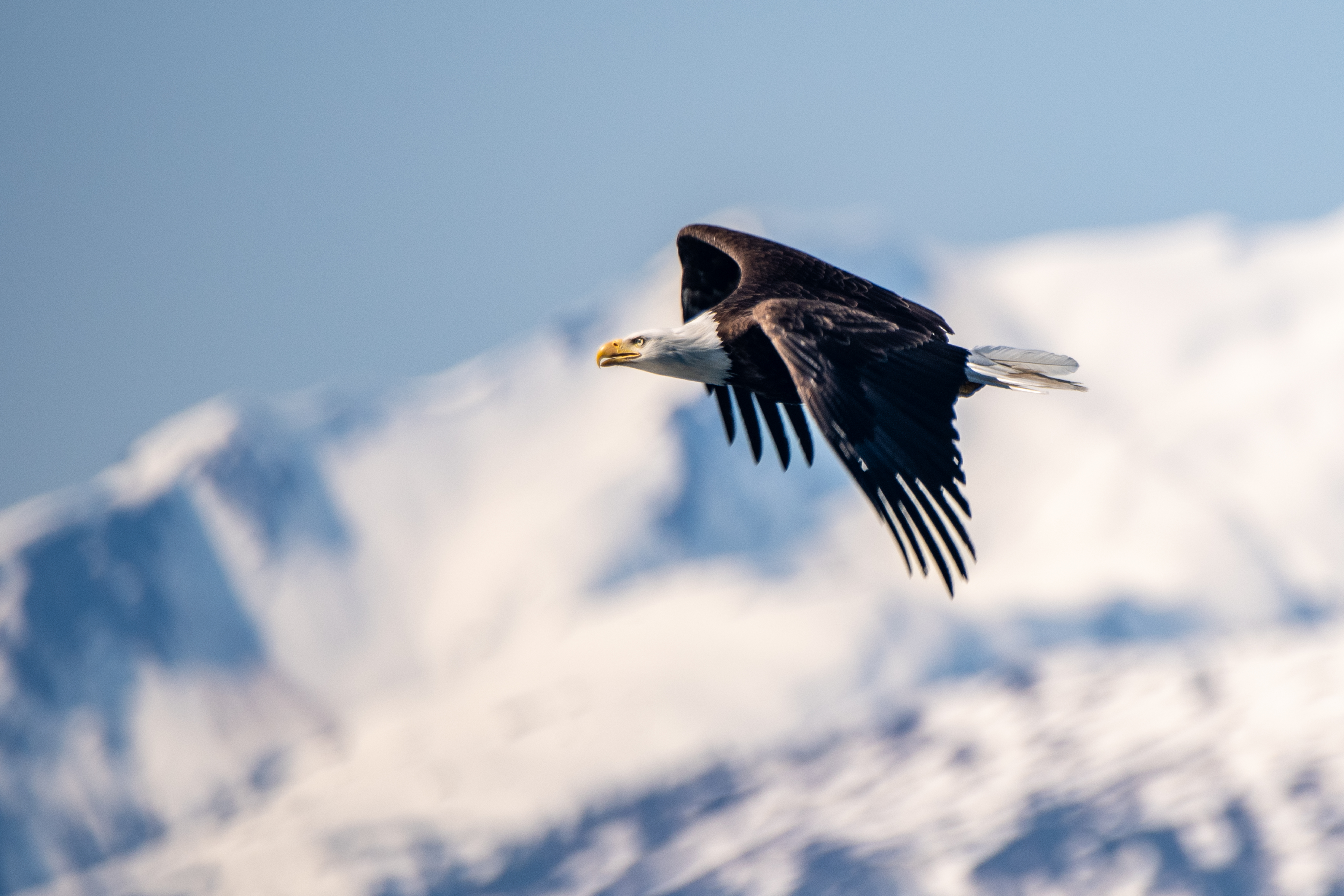 https://www.stepintoalaska.com/wp-content/uploads/gravity_forms/3-25a3b7113da86c7866b2ef7f38a99c38/2022/07/DSC_6505.jpg