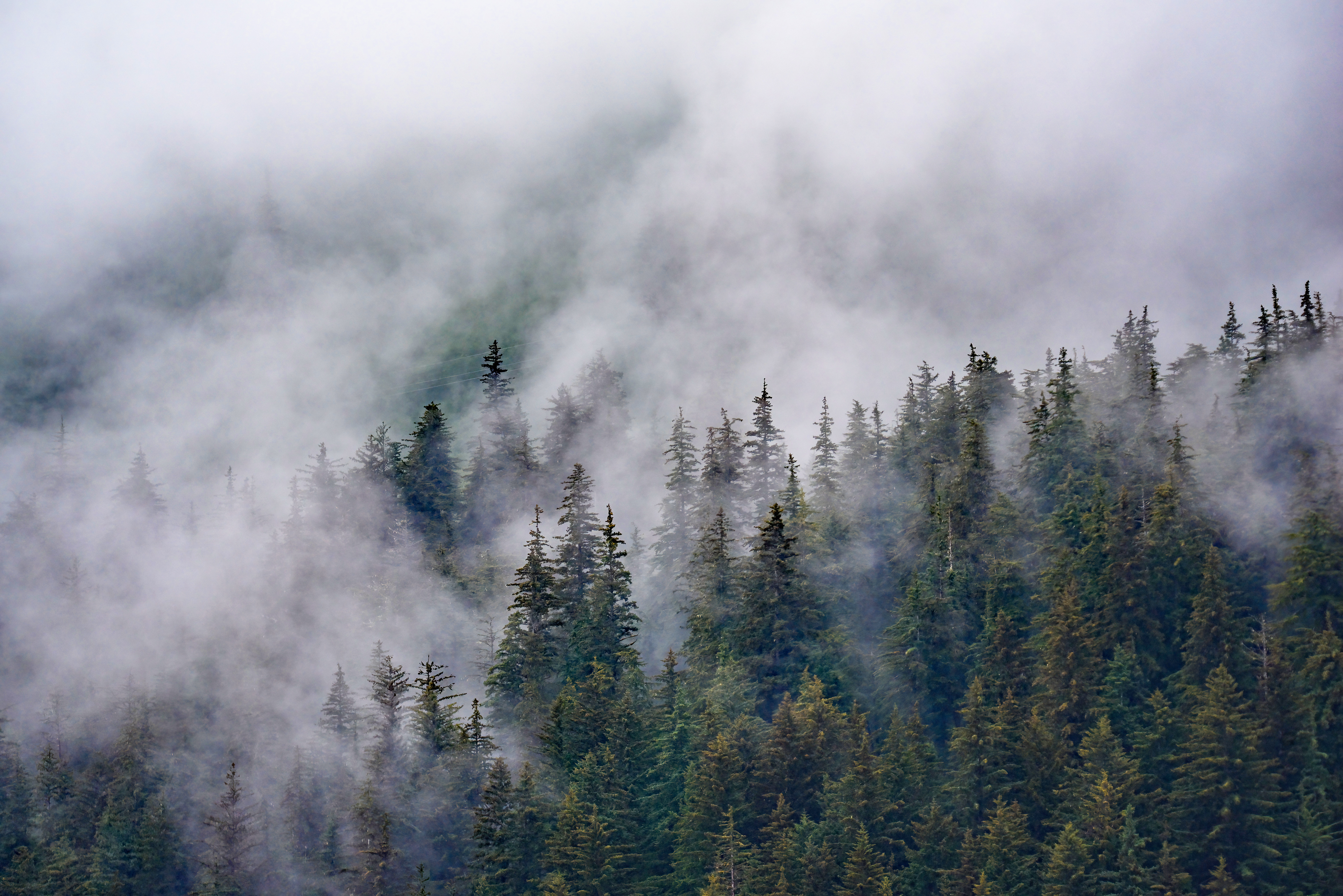 https://www.stepintoalaska.com/wp-content/uploads/gravity_forms/3-25a3b7113da86c7866b2ef7f38a99c38/2022/08/DSC_0769hdr-a.jpg
