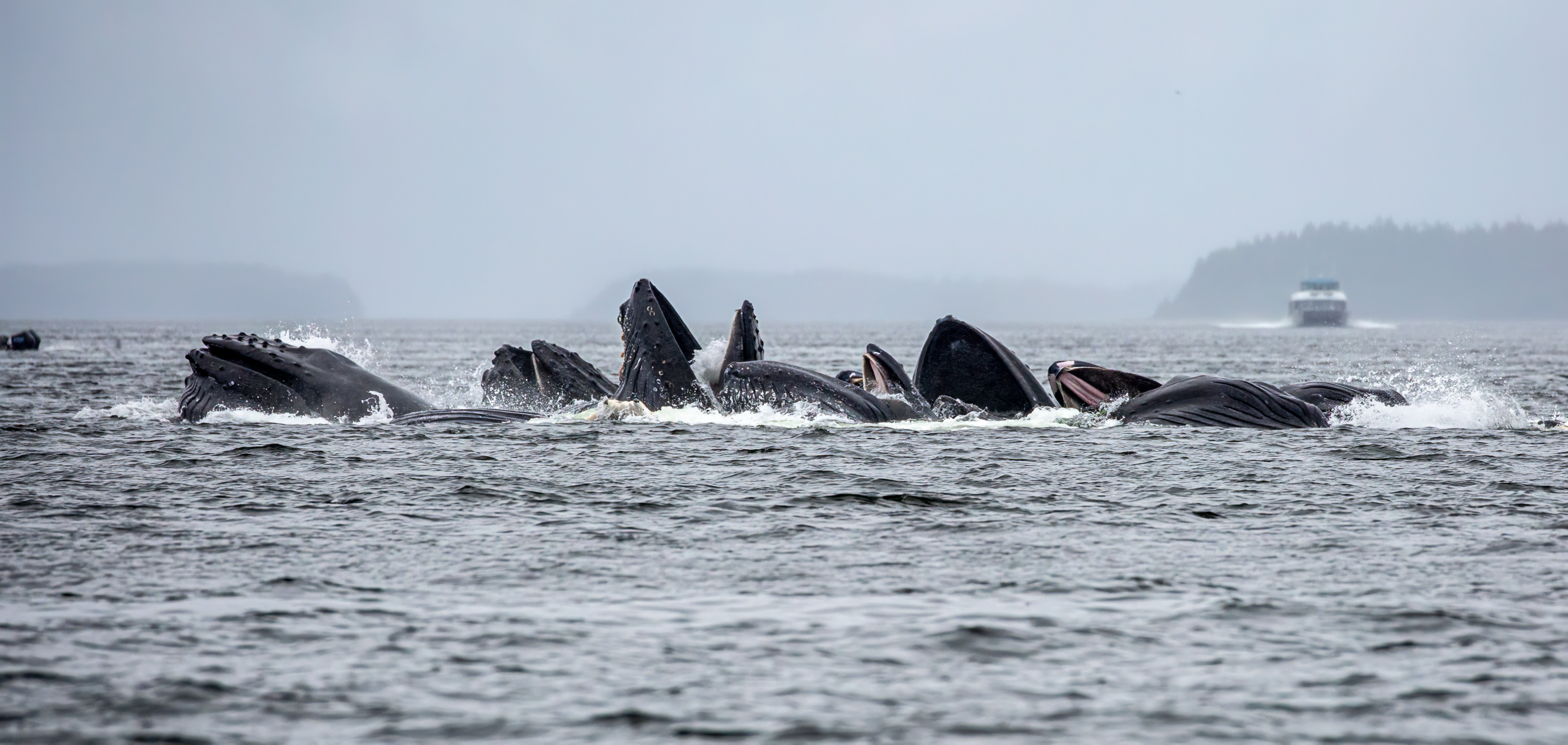 https://www.stepintoalaska.com/wp-content/uploads/gravity_forms/3-4a11599696fbec1dd0ec8cf81642c2b6/2024/06/CW5A5410-.jpg