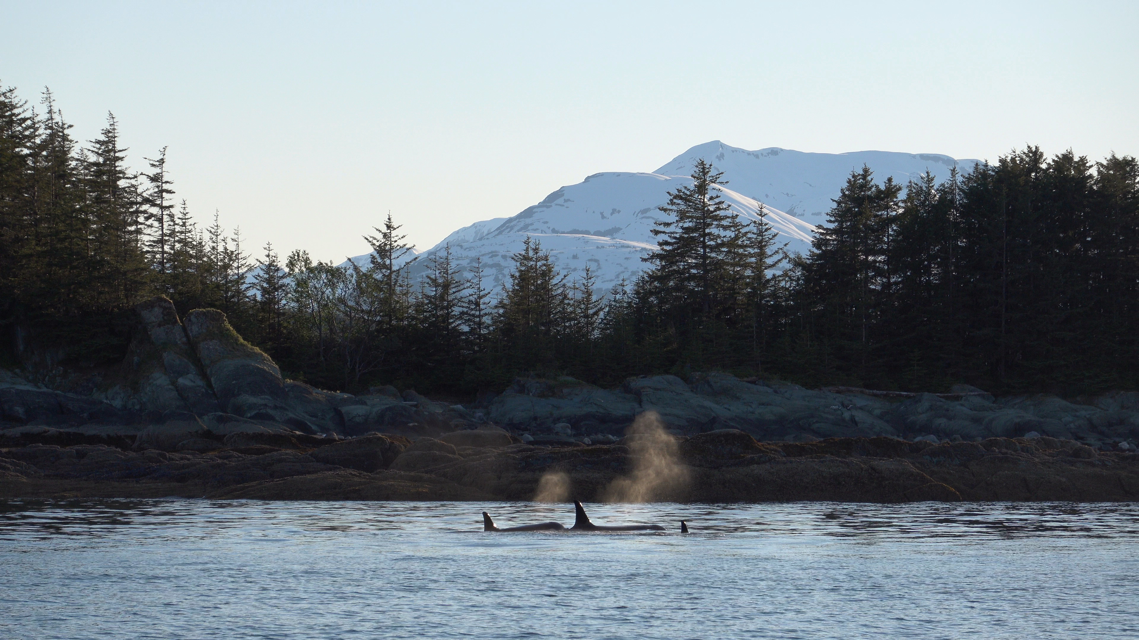 https://www.stepintoalaska.com/wp-content/uploads/gravity_forms/3-58243d4c5bdc9fafea063699945cee42/2022/06/DSC04570.JPG
