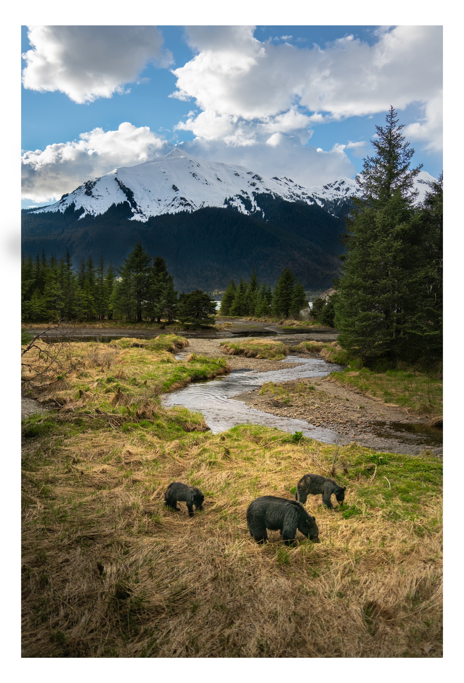 https://www.stepintoalaska.com/wp-content/uploads/gravity_forms/3-d8146a1a5a61d45269a3bd83b9f922dc/2022/09/BA6D9FCE-C773-491D-A550-8BC87D0C4972.jpeg